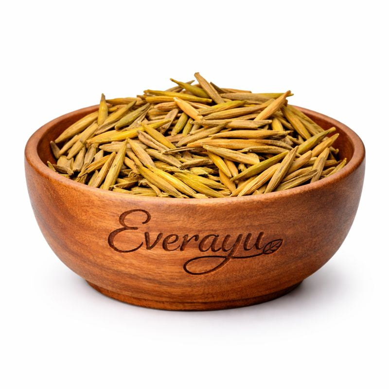 Indrajav Meetha Sweet Indrajau Holarrhena pubescens Organic Ayurvedic Seeds Natural Herb