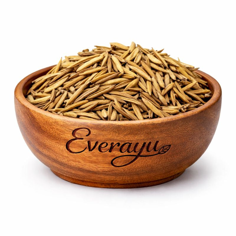 Indrajav Seeds Kadwa Indrajau Holarrhena pubescens Ayurvedic Seeds Natural Herb