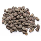 Jamun Guthali / जामुन घुटली / Eugenia Jambolana / syzygium cumini / Jambul Seed