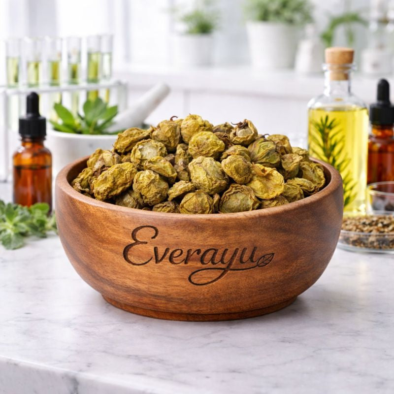 100% pure Kakada Singhi Gol (Pistacia integerrima) – a traditional Ayurvedic aromatic herb valued for its natural cleansing, balancing, and rejuvenating properties.