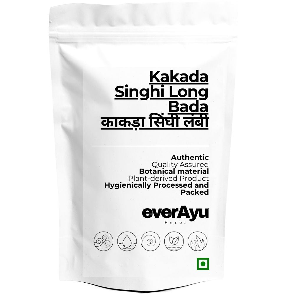 Kakada Singhi Long Bada Whole | काकड़ा सिंघी लंबी | Kakra Singhi Long | Pistacia integerrima Galls | Karkatshringi | Whole Long Botanical Galls everAyu