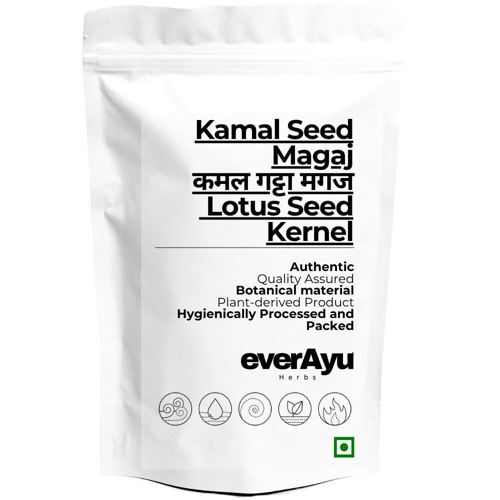Kamal Seed Magaj Whole | कमल गट्टा मगज | Lotus Seed Kernel | Kamal Gatta Magaj | Kamal Kakadi Magaj | Nelumbo nucifera Seed Kernel | Whole Botanical Seed Kernel everAyu