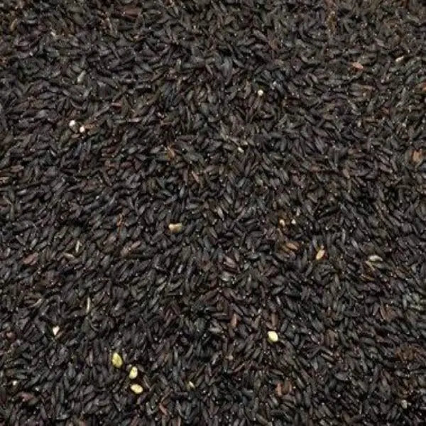 Balanga / बलांगा / Tulsi Balanga / Lalmentiya rai-Tukh Malanga