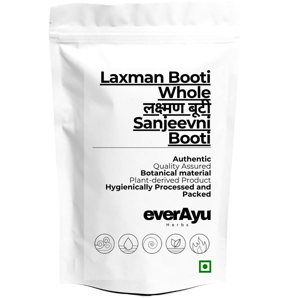 Laxman Booti Whole | लक्ष्मण बूटी | Sanjeevni Booti | Sanjivni Booti | Selaginella bryopteris | Pitta Kalu | Whole Botanical Herb everAyu
