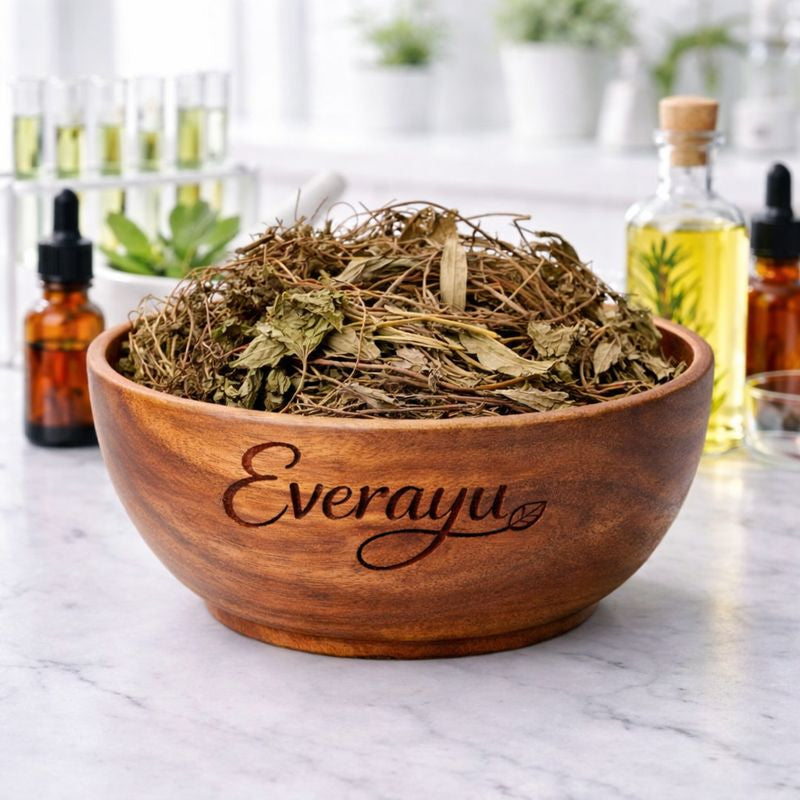 masparni herb, mashaparni teramnus labialis, dashamoola roots, kamboj herb, mashvan root, ayurvedic masparni, herbal vitality
