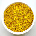 Alfalfa Seeds | अल्फाल्फा बीज | Medicago sativa Seeds | Whole Alfalfa Seed