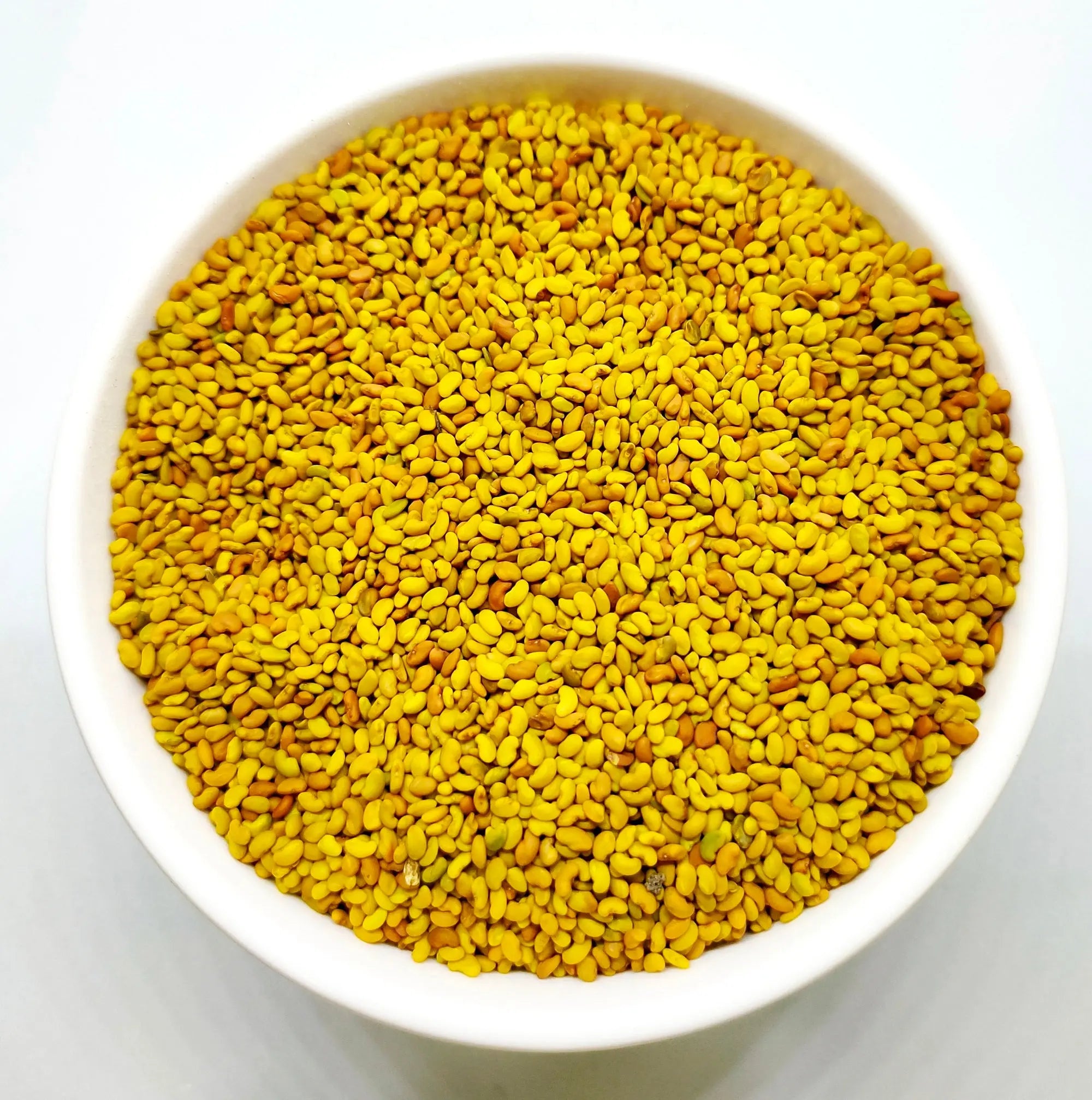 Alfalfa Seed / अल्फाल्फा बीज / Medicago sativa