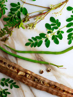 moringa tablets benefits, moringa supplements, natural energy booster, immune support, digestion aid, herbal detox, plant-based nutrition, moringa for hair and skin