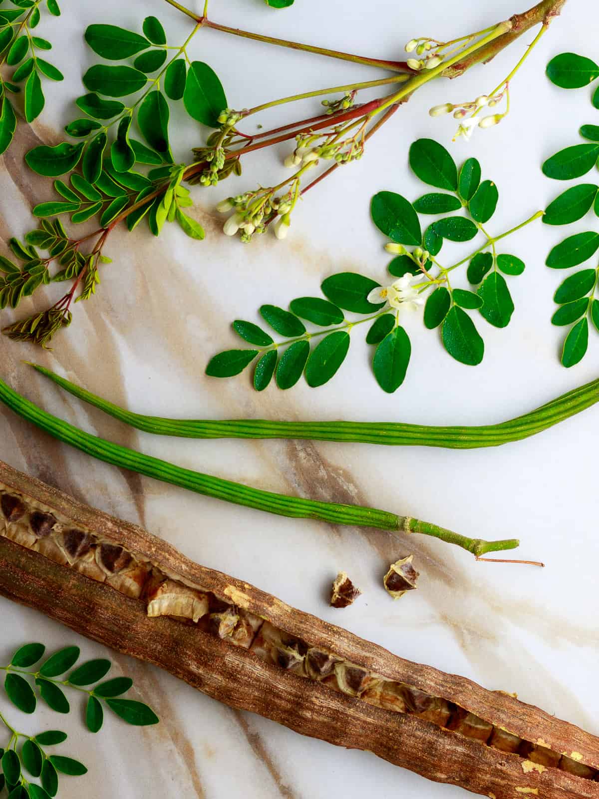 moringa tablets benefits, moringa supplements, natural energy booster, immune support, digestion aid, herbal detox, plant-based nutrition, moringa for hair and skin