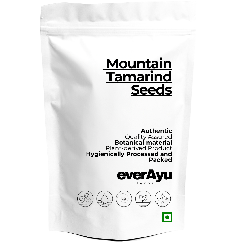 Mountain Tamarind Seeds Whole | पहाड़ी इमली बीज | Pahadi Imli Beej | Garbeej | Gella Seeds | Mountain Tamarind Seed | Whole Botanical SeedsMountain Tamarind Seeds-Pahadi Imli Beej-Average Size 2-3 Inch-Garbeej-Gella - Whole everAyu