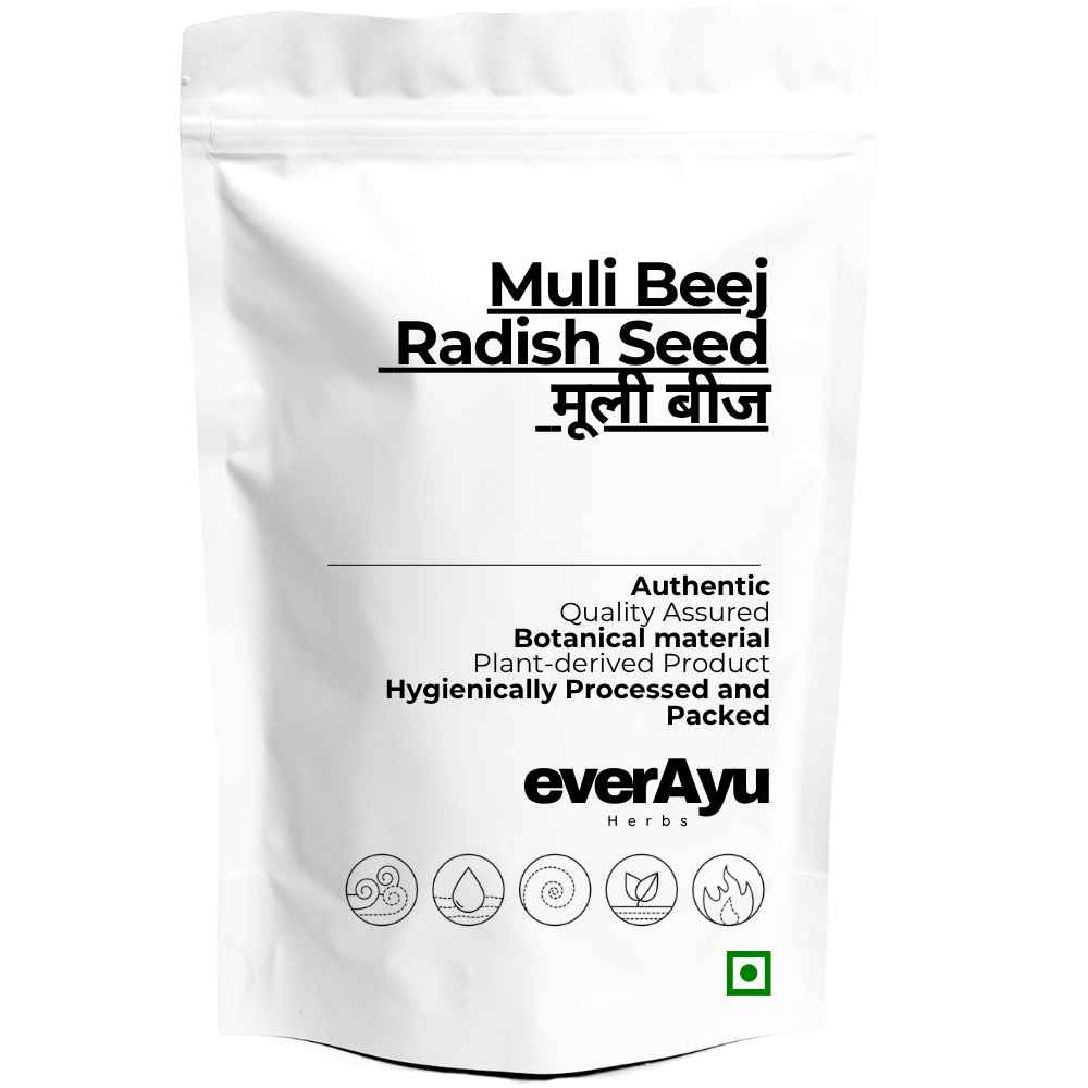 Muli Beej Whole | मूली बीज | Mooli Beej | Radish Seeds | Raphanus sativus Seeds | Edible Radish Seed | Whole Botanical Seeds | Natural Seed Material everAyu