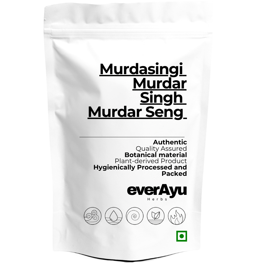Murdasingi Whole | मुर्दासिंगी | Murdar Singh | Murdar Seng | Litharge Mineral | Lead Monoxide Mineral | Traditional Mineral Material | Whole Mineral Pieces everAyu