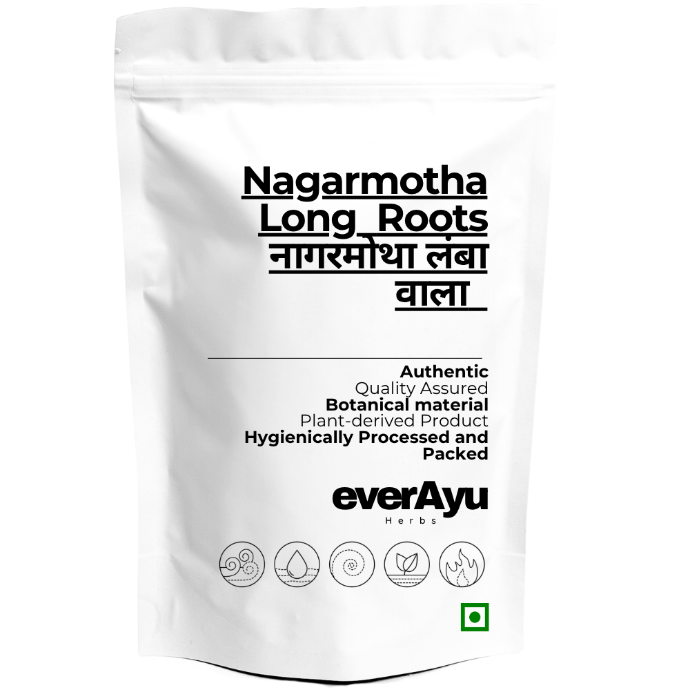 Nagarmotha Long Roots Whole | नागरमोथा लंबा वाला | Cypriol Root | Long Nutgrass Root | Cyperus rotundus | Musta Root | Whole Dried Botanical Root everAyu