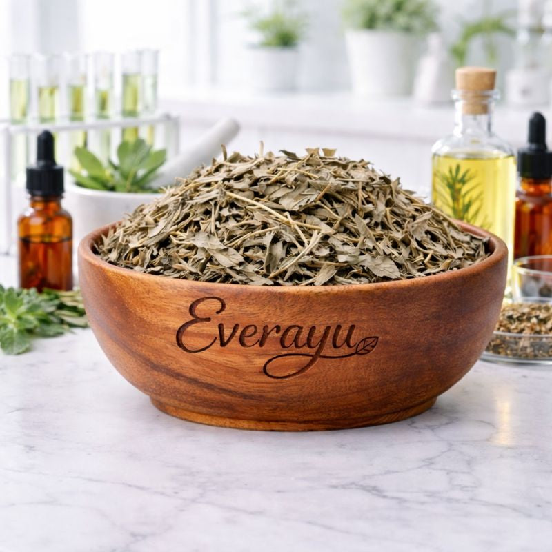 nirgundi leaves, vitex negundo leaf, sambhalu, nigod leaf, ayurvedic nirgundi, nirgundi paan dried, herbal vitex negundo