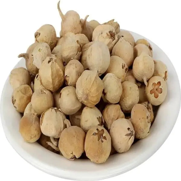 Paneer Doda (Withania Coagulans) – Natural Ayurvedic herb, also known as Paneer Dodi or Paneer Phool, used in traditional Indian wellness