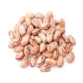 Rajma white / राजमा सफेद / Phaseolus Vulgaris