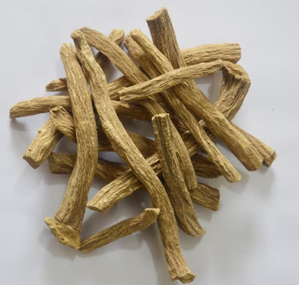 Pushkarmool Powder, Inula racemosa, Pushkara, Puskarmula, Pohkarmool, पुष्करमूल, Indian Elecampane, Ayurvedic root, natural herbs, herbal churna, raw root powder, traditional wellness herb, Ayurvedic ingredient, herbal powder India