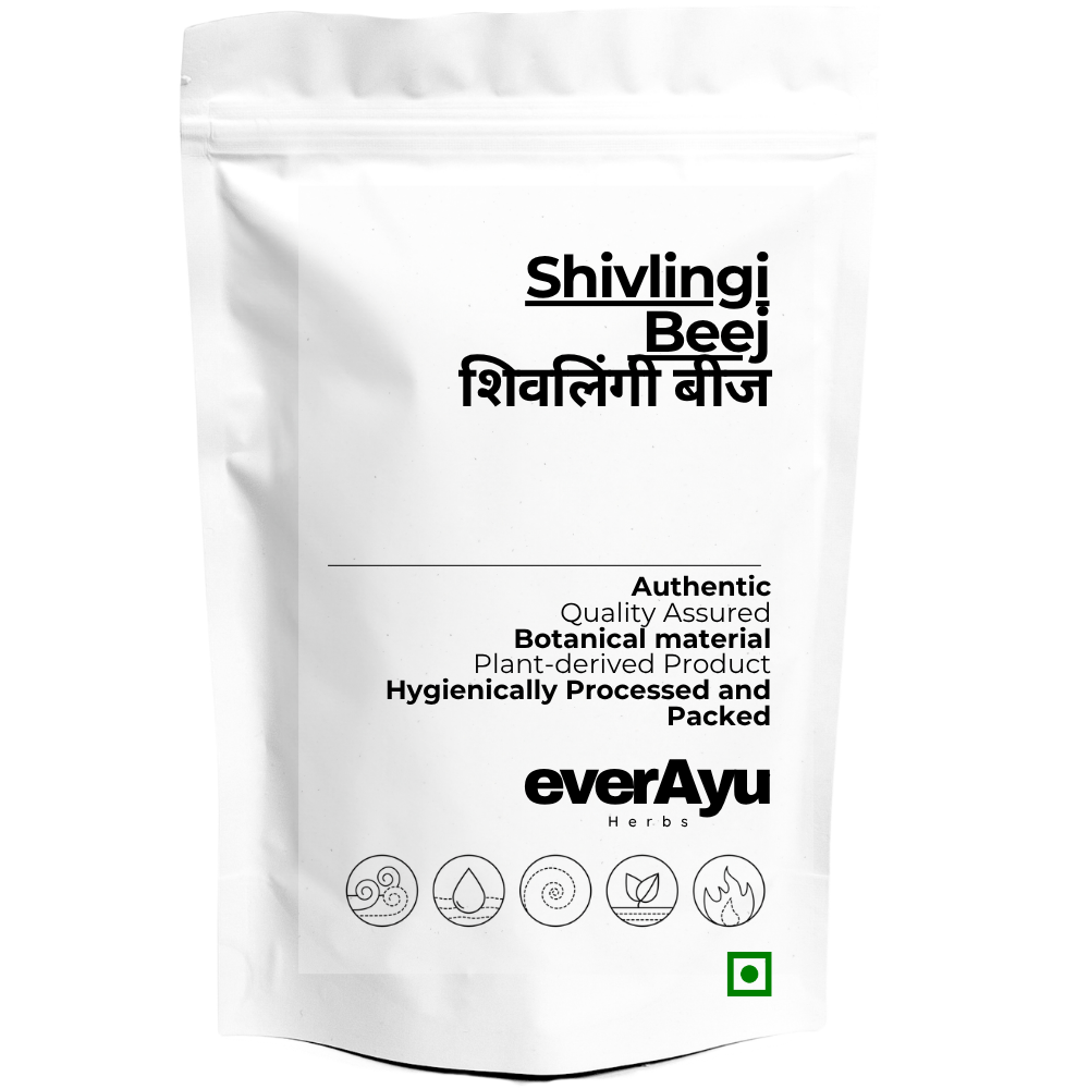 SHIVLINGI BEEJ - शिवलिंगी बीज - LOLLIPOP CLIMBER - BRYONOPSIS LACINIOSA - Whole everAyu