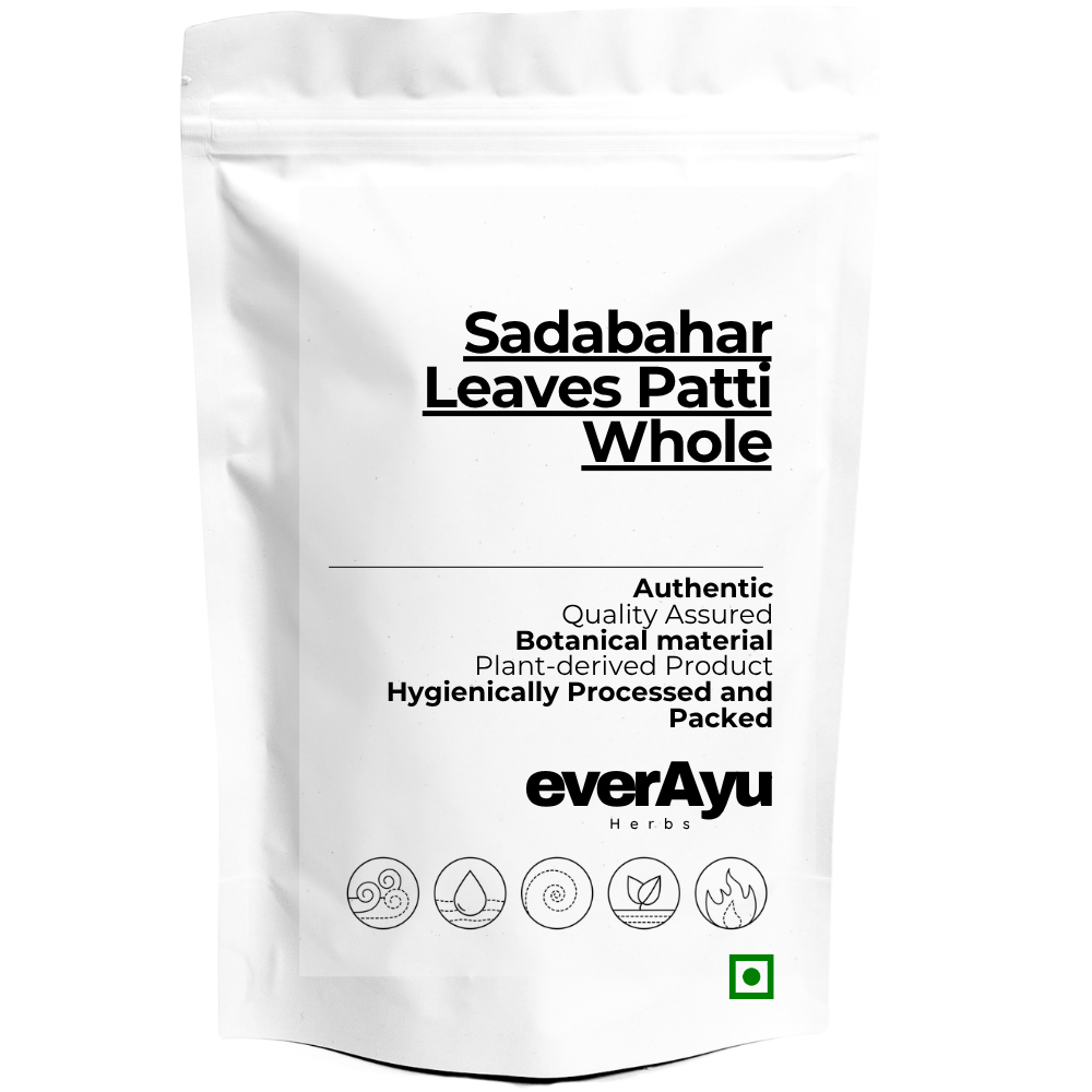 Sadabahar Leaves Whole | सदाबहार पत्ती | Periwinkle Leaves | Vinca Rosea Leaves | Whole Dried Botanical Leaf Material | Premium Herbal Raw Material everAyu