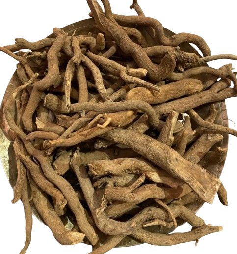 Sarpagandha, also known as Rauwolfia serpentina, is a traditional Ayurvedic root used for promoting balance and calmness. Regional names include सरपगंधा (Hindi), સરપગંધા (Gujarati), சார்பகந்தா (Tamil), సర్పగంధ (Telugu), and Sarpagandhi (Malayalam). In English, it is called Indian Snakeroot or Black Snakeroot. Known in Ayurveda as Chota Chand, it’s valued for supporting relaxation and wellness.