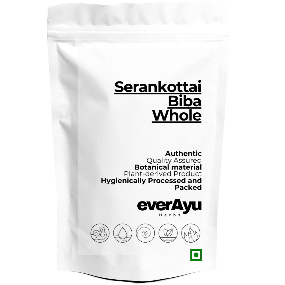 Serankottai - Biba - बिबा - Semecarpus Anacardium- Bhilawa Seeds - Bilava Beej - Bhilava - Bilawa - Whole everAyu