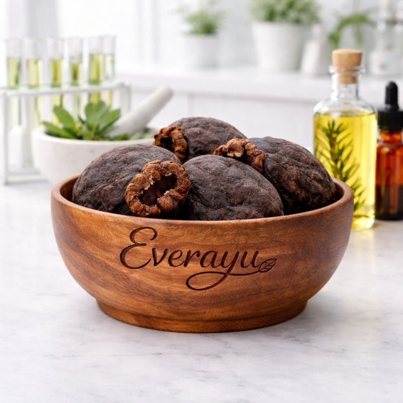 Serankottai, also known as Bhilawa or Biba, comes from the Semecarpus anacardium tree. In Hindi it’s called बिबा or भिल्लावा, in Tamil சேரங்கொட்டை, in Malayalam ചേറങ്കോട്ട, in Marathi भिल्लावा, and in Sanskrit भल्लातक (Bhallataka). In English, it is known as the Marking Nut or Bhilawa Nut. Traditionally mentioned in Ayurveda for supporting rejuvenation, strength, and vitality, this herb should always be used under expert guidance after purification.