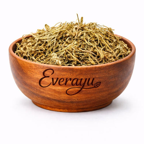 shankhpushpi plant seeds Shankhpushpi (Convolvulus pluricaulis / शंखपुष्पी) – Ayurvedic Herb for  Natural Calmness & Balance – everAyu