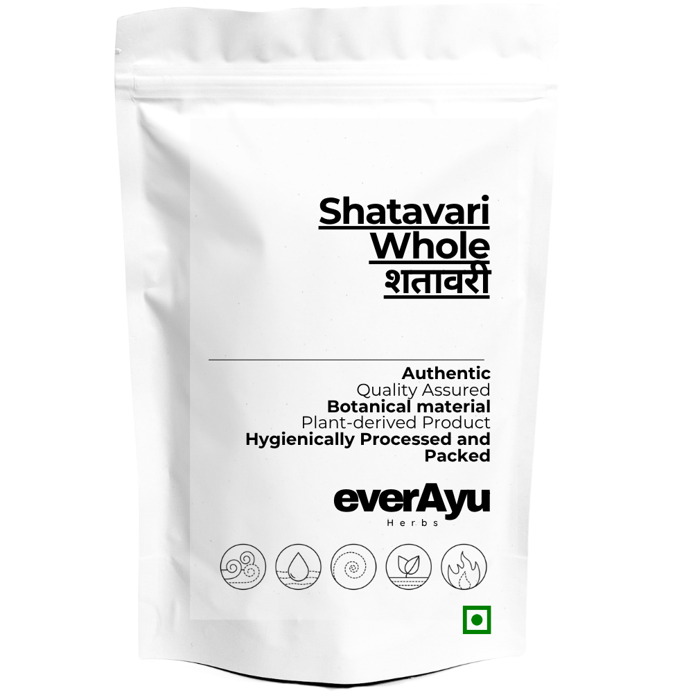 Shatavari / शतावरी / Wild Asparagus / Asparagus racemosus - Whole everAyu