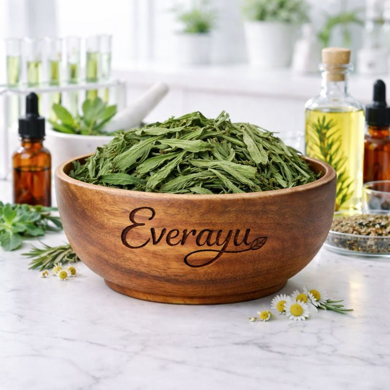 Stevia Pan Dry, also known as Mithi Tulsi, Madhu Tulsi, Stevia Leaves, Sweet Leaf, Sugar Leaf, ステビアの葉, ستیویا پتے, ステビア パウダー, ச்டீவியா இலைகள் — 100% natural sweet herb from Stevia rebaudiana, used as a healthy sugar substitute in teas, tonics, and herbal drinks.