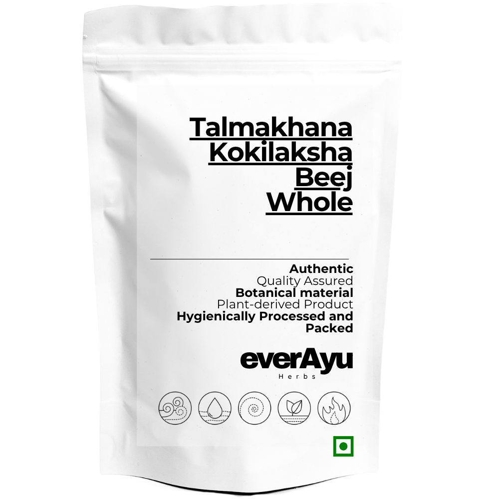 Talmakhana - Taal Makhana - Kokilaksha Beej - Asteracantha Longifolia - Whole everAyu