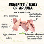 Arjun Chaal / अर्जुन छाल / Arjun Tree / Terminalia Arjuna