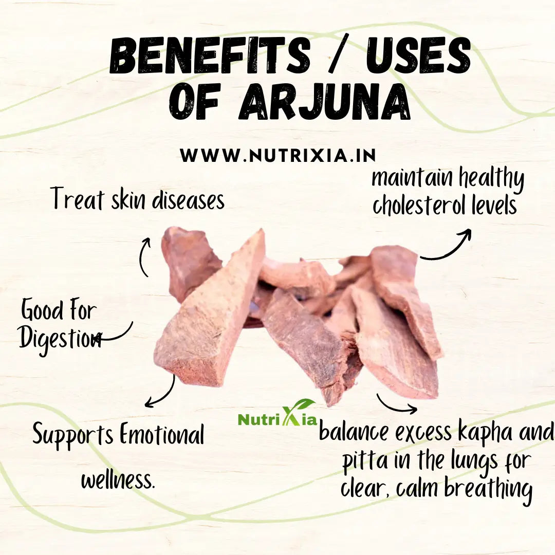 Arjun Chaal / अर्जुन छाल / Arjun Tree / Terminalia Arjuna