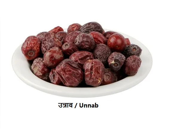 Unnab (Ber / Jujube / Sidr) – also known as Anab, Sukhey Ber, Desi Ber, Onab, Jujuba, and Ziziphus jujuba – is a naturally dried fruit valued in Ayurveda and Unani traditions. Known as बेर in Hindi, Badari in Sanskrit, Ilantha Pazham in Tamil, and Chinese Date in English.