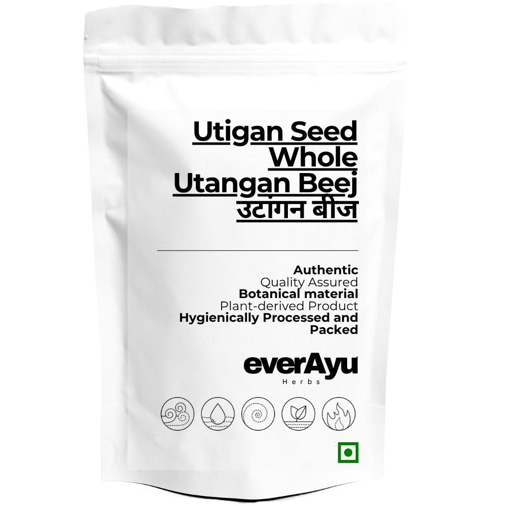 Utigan Seed / Utangan Beej / Utangan Seeds / उटांगन बीज / Blepharis Edulis Pers - Whole everAyu