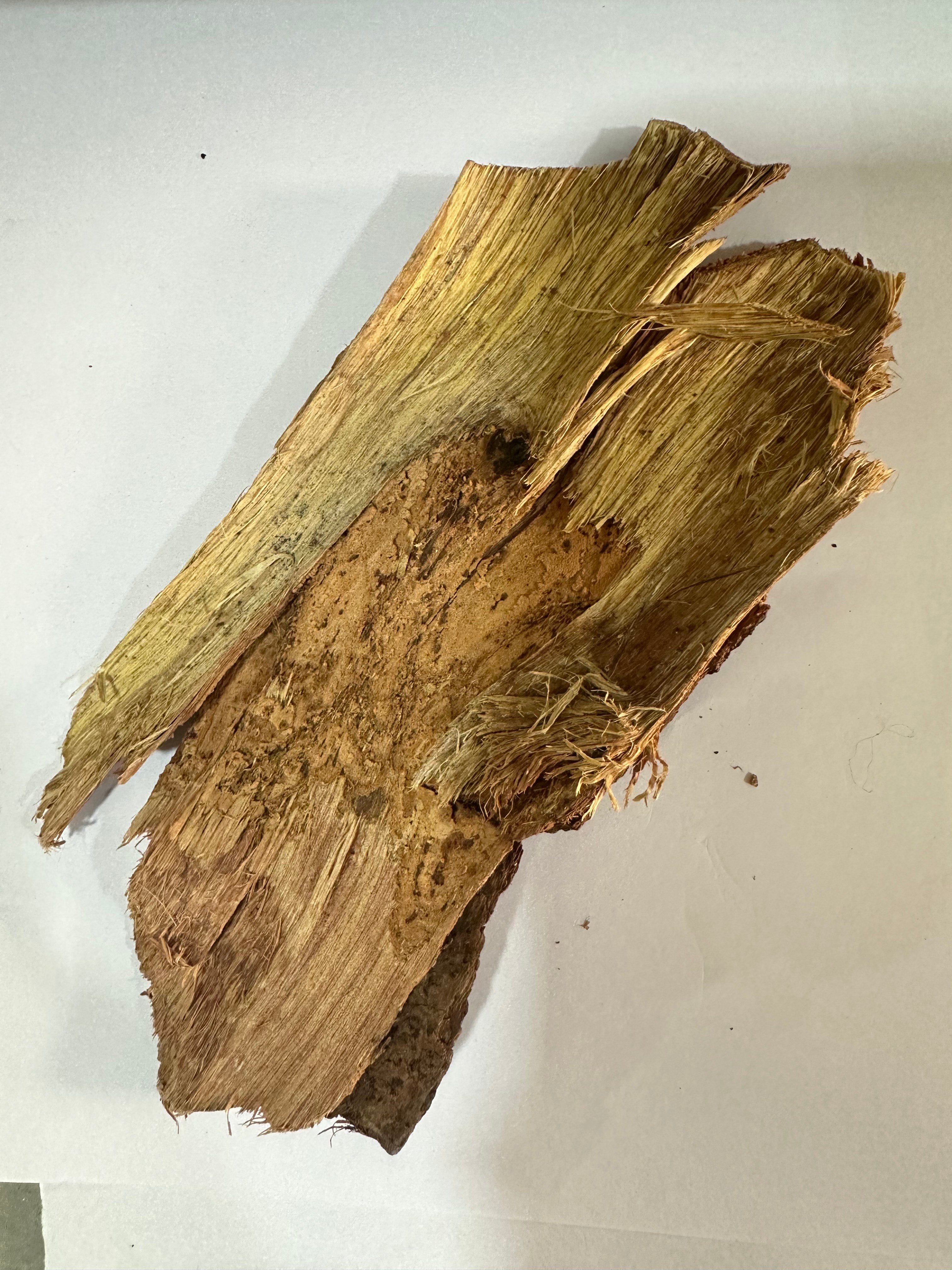 Vilyati Kikar (विलायती कीकर), also known as Irimed, Sweet Acacia, or Acacia leucophloea, is a traditional Ayurvedic bark used for balance and strength. Other names include Irmed (Hindi), Vellai Vagai (Tamil), Tella Babulu (Telugu), Bili Babul (Kannada), and Velutha Vaga (Malayalam).