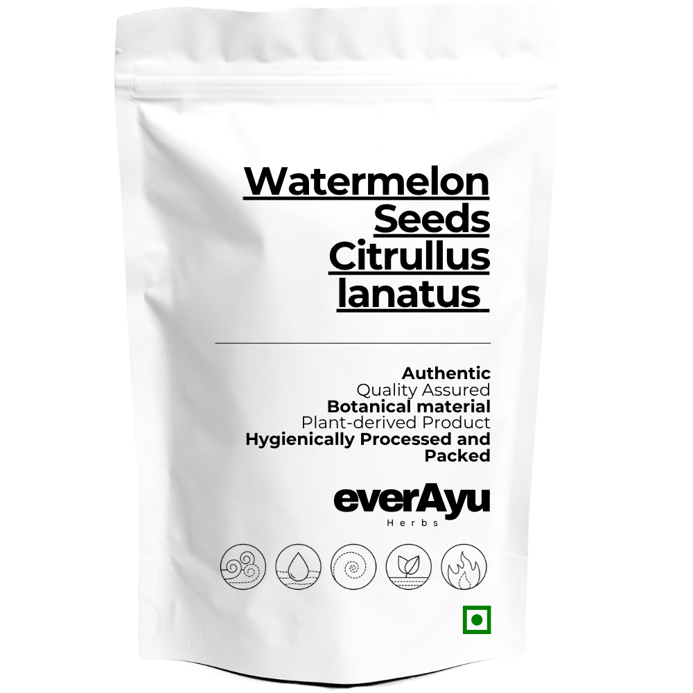 Watermelon Seeds – Citrullus lanatus - Whole everAyu