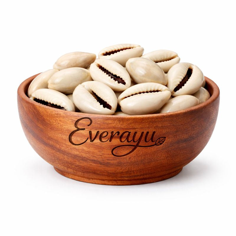 Kouri Shell Buy White Kauri (Safed Kaudi) | Spiritual & Ayurvedic Ritual Shell ...