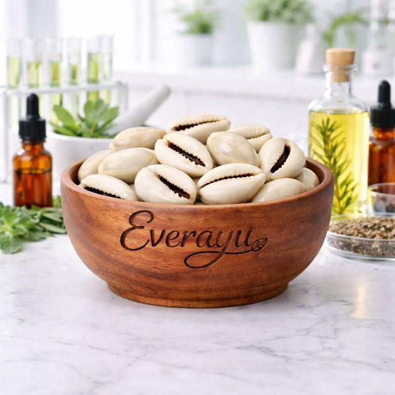 Kouri Shell Buy White Kauri (Safed Kaudi) | Spiritual & Ayurvedic Ritual Shell ...
