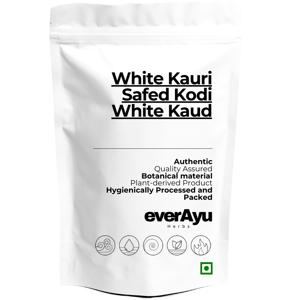 White Kauri-Safed Kodi-White Kaudi-Safed Kauri - Whole everAyu
