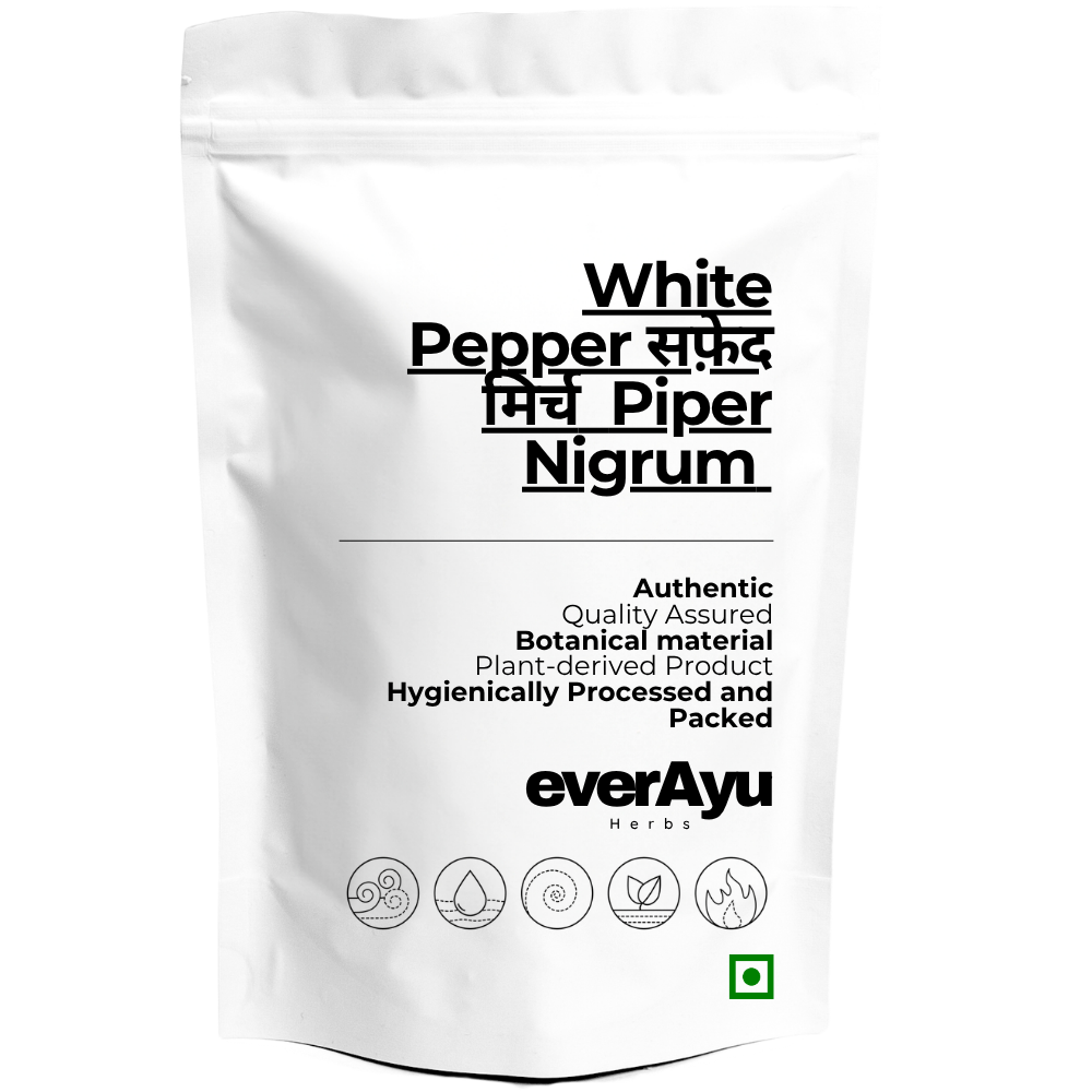 White Pepper /  सफ़ेद मिर्च /  Piper Nigrum - Whole everAyu