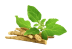 Ashwagandha Powder / अश्वगंधा पाउडर/  Asgandh /  Withania somnifera