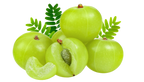 Amla Tablet/ Awala / Aamla / Indian Gooseberry / Emblica officinalis/Awla