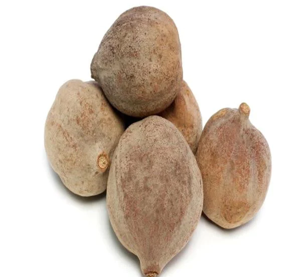 Terminalia bellirica, known as baheda, bahera, behada, beleric or bastard myrobalan (Arabic: beliledj بليلج, borrowed from Middle Persian Balilag), Persian بلیله (Balileh) Sanskrit: Bibhitaka बिभीतक, Aksha अक्  Terminalia bellirica, Vibhita, Akaa, Aksaka, Bhomora, Bhomra, Bhaira, Bayada, Beleric Myrobalan, Bahedan, Bahera, Ta