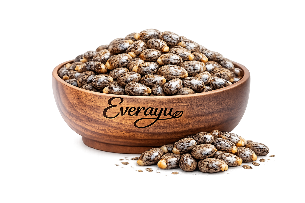 Caster Seed / ढलाईकार बीज /  एरंडेल बियाणे /  Ricinus communis - Whole everAyu