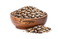 Caster Seed / ढलाईकार बीज /  एरंडेल बियाणे /  Ricinus communis - Whole everAyu