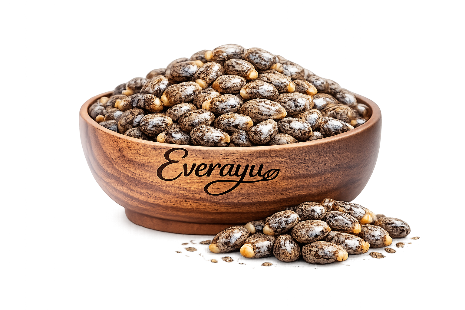 Caster Seed / ढलाईकार बीज /  एरंडेल बियाणे /  Ricinus communis - Whole everAyu