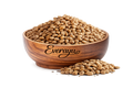 Charoli / चिरोंजी / Chironji / Buchanania Lanzan Nutrixia