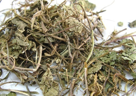 Gotu Kola - Mandukaparni - Indian Pennywort - Centella asiatica Nutrixia Food
