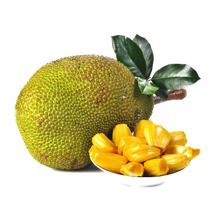 jackfruit powder benefits, jackfruit nutrition, natural digestion aid, superfood for immunity, ayurvedic health supplement, herbal gut health, jackfruit for weight loss, jackfruit for diabetes

Other Indian Names
Hindi: कटहल पाउडर (Kathal Powder)
Marathi: फणस पावडर (Phanas Powder)
Tamil: பலாப்பழ பொடி (Palapazha Podi)
Telugu: పనస పండు పొడి (Panasa Pandu Podi)
Kannada: ಹಲಸಿನ ಹಣ್ಣು ಪುಡಿ (Halasin Hannu Pudi)