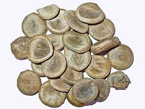 Shudh Kuchla Churna Powder - Nutrixia Food